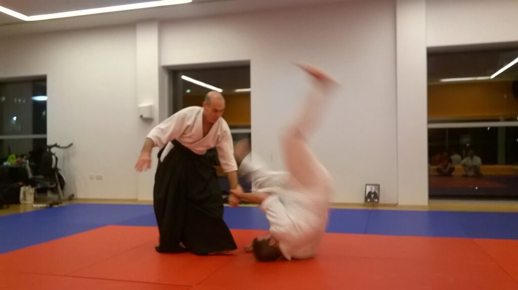 Shin Tokoro Aikido